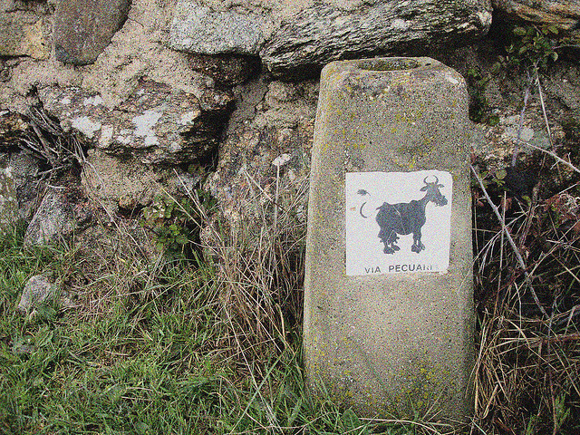 Vía pecuaria excursión con niños